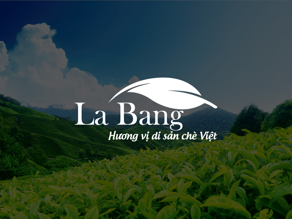 Banner Thiết kế logo La Bằng