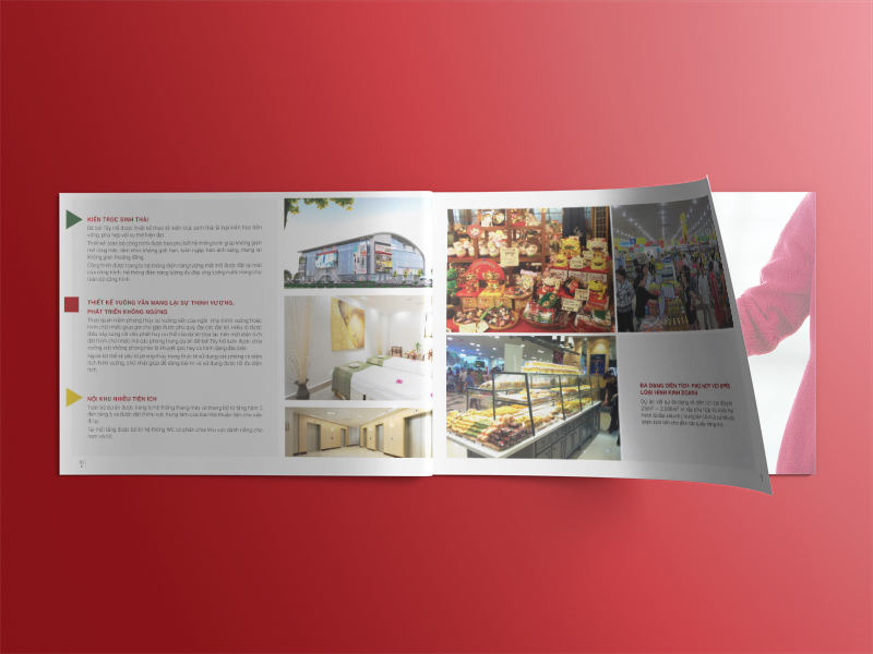 Thiet ke profile Brochure HDB 01