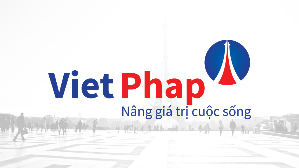 Banner Thiết kế logo Việt Pháp