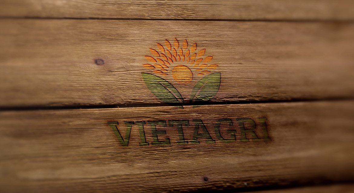Banner Thiết kế logo Vietagri